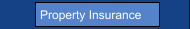 Property Insurance