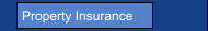 Property Insurance
